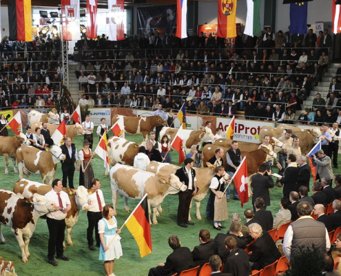 BFVS 2009 in der Greinbachhalle