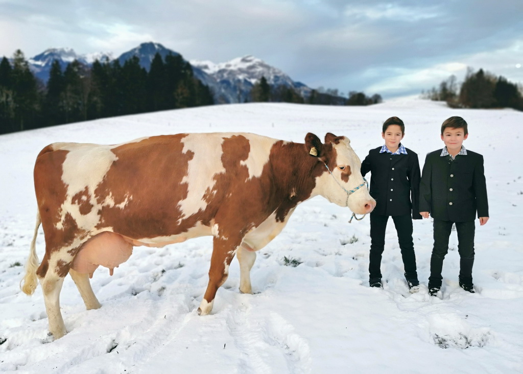 MEISTER, Hupsol x Cadon Red, Familie Gruber, Gallzein, Tirol, Foto Privat