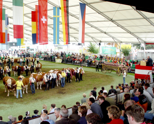 Bundesfleckviehschau 2005 in Ried