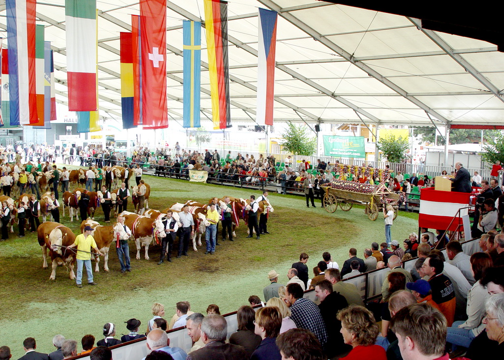 Bundesfleckviehschau 2005 in Ried