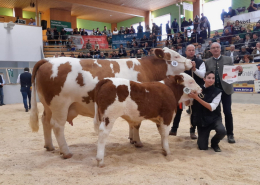 BFLRS 2023 - Champion weiblich, KORNETTE von der LFS Althofe, Kärnten