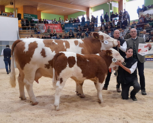 BFLRS 2023 - Champion weiblich, KORNETTE von der LFS Althofe, Kärnten