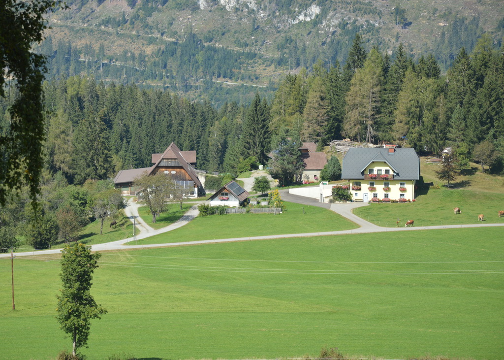 Der Hof von Familie König liegt auf 1.050 m Seehöhe in der westlichen Obersteiermark