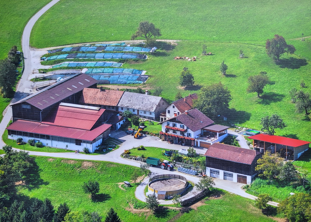 Der Betrieb der Züchterfamilie Hobl liegt in der Gemeinde Stössing im östlichen Mostviertel in Niederösterreich