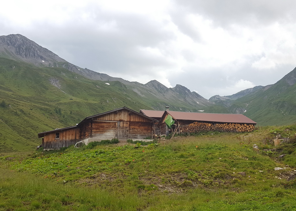 Mit durchschnittlich 7 Kühen sind die Familienbetriebe mit Kombinationshaltung wichtige Träger der kleinstrukturierten Berglandwirtschaft mit den Almen – im Bild die Junsalm im Tuxertal auf fast 2.000 Meter Seehöhe.
