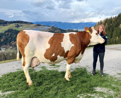 ERIKA, MARTIN x GS ILKON, von Freigassner Gerhard, Weisskirchen in Steiermark, Foto Hörmann