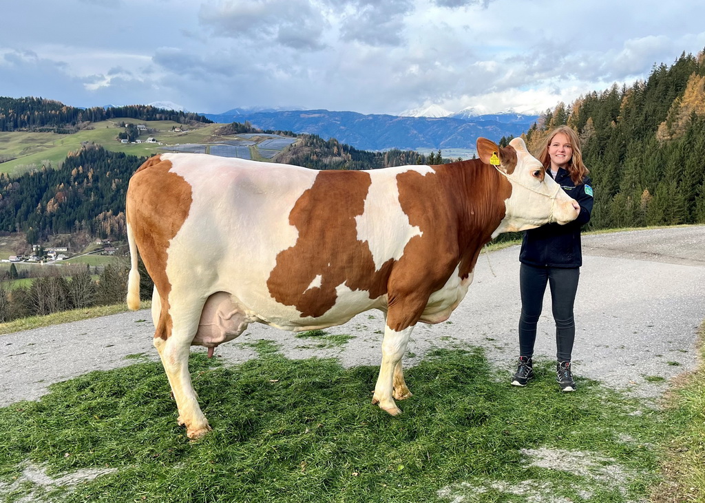 ERIKA, MARTIN x GS ILKON, von Freigassner Gerhard, Weisskirchen in Steiermark, Foto Hörmann