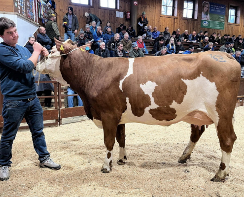 RAWENDL-Tochter Kranz von Rieser Ernst aus eben a. A., verkauft um 2.960 Euro