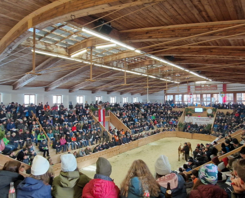 100.Versteigerung volle Halle