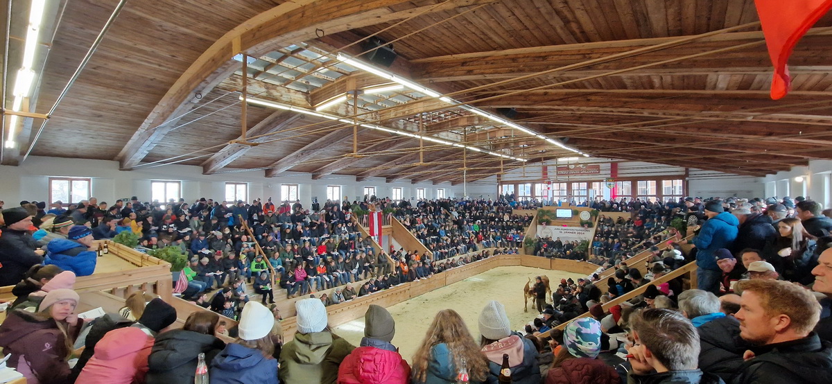 100.Versteigerung volle Halle