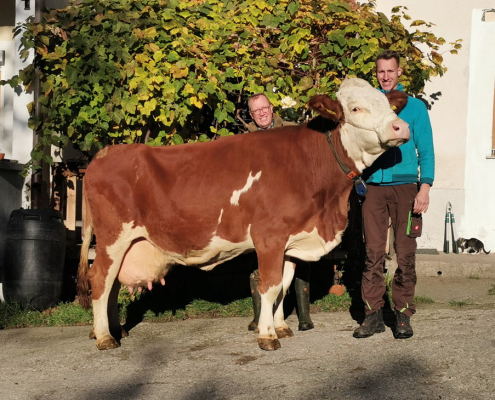 MICHAELA, GS MATUS x WEINOLD, von Ing. Christine u. Harald Hofer, Ritzing, Burgenland, Foto Lang