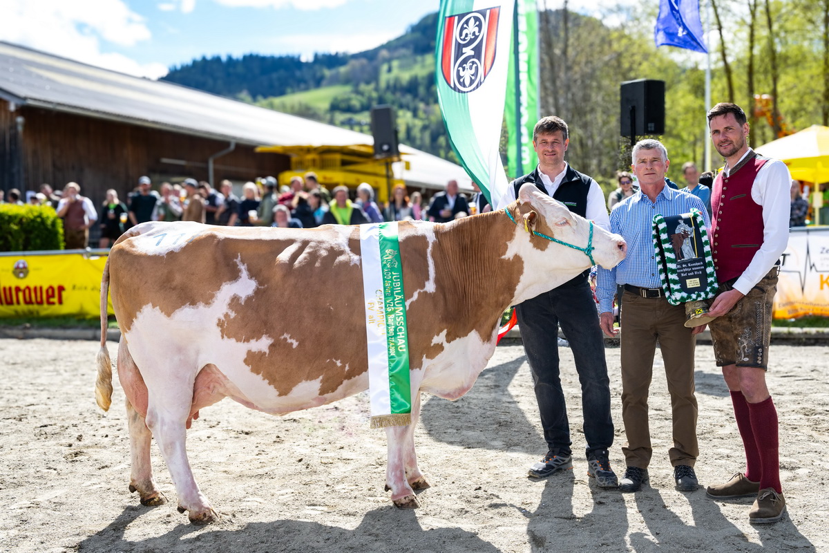 Champion alt: WILLI-Tochter BLONDI von Steiner Matthäus