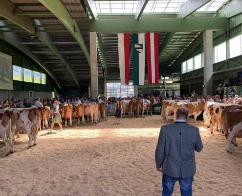 Fleckviehzuchtverein Bruck am Ziller feierte am 6. April 2024 120-Jahrjubiläum