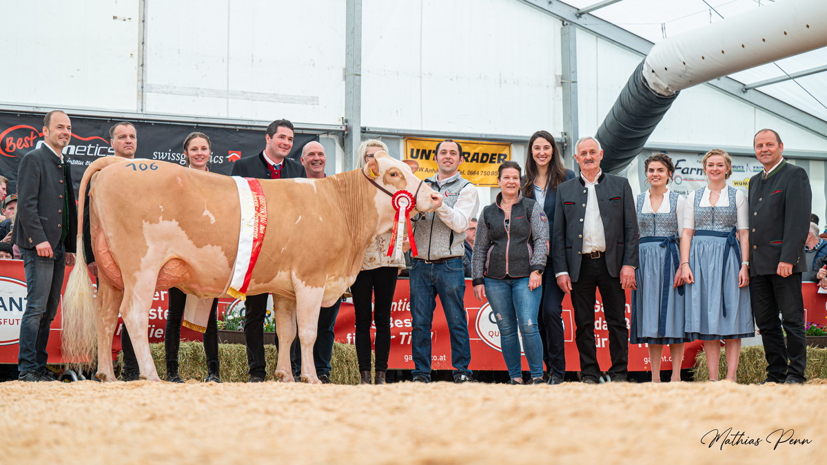 Champion FV-Jungkühe: AGNES (V: Mogli) von Mariacher Martin u. Eberharter Josef aus Schwaz