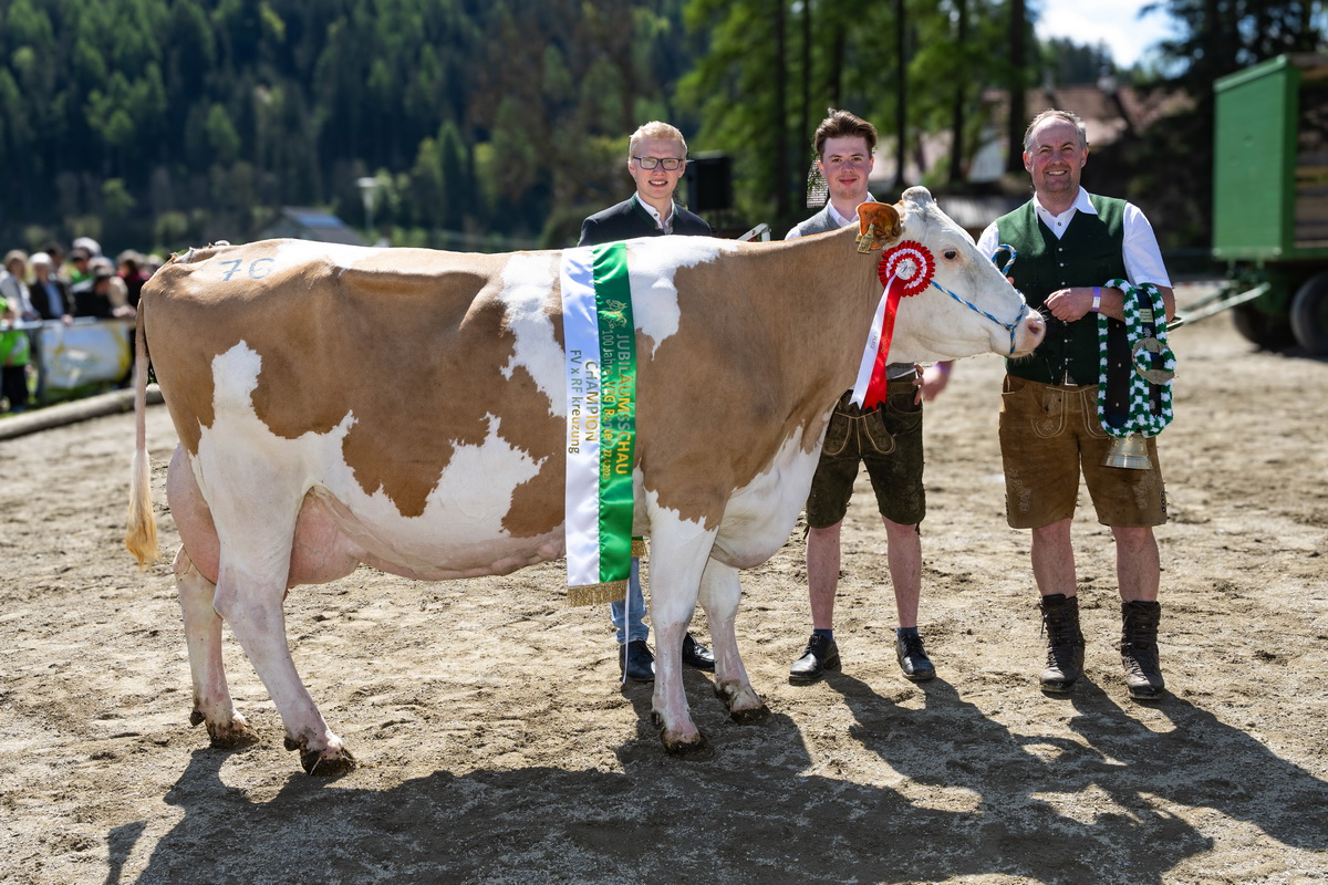 Champion FV x RF: JOAN RED-Tochter LUNA von Kendlbacher Johannes Peter