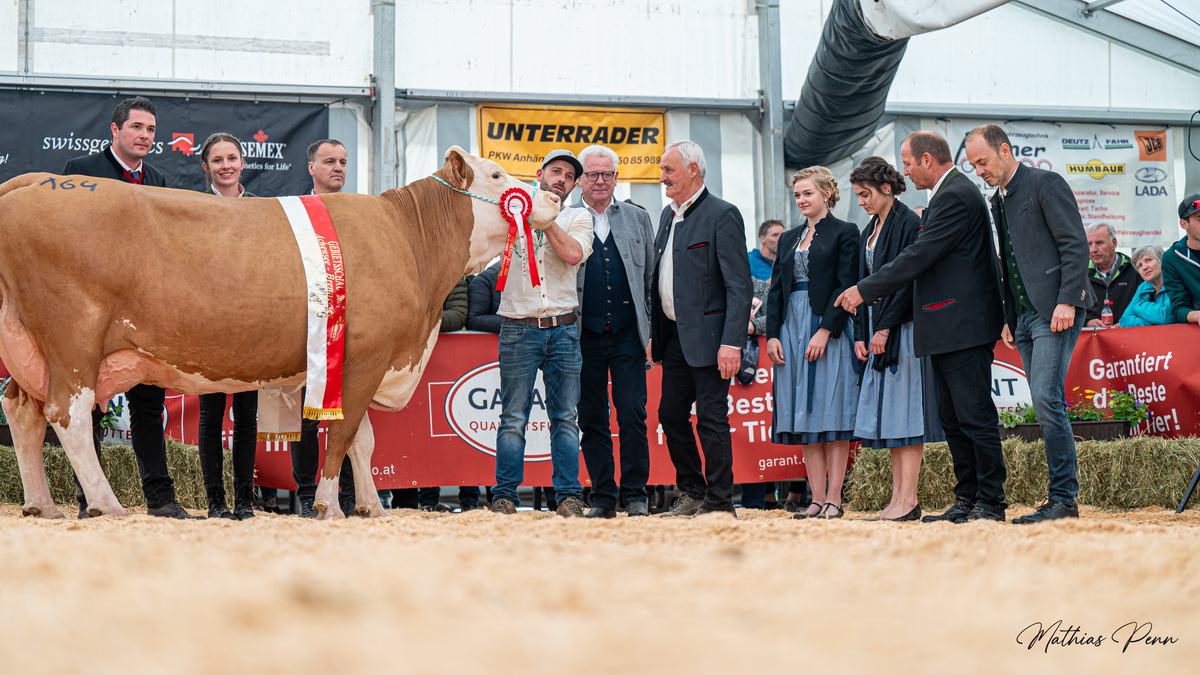 Reservechampion FV-Altühe: REASL (V: Vlandern) von Rieser Josef aus Pertisau