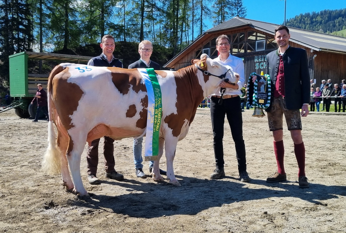 Champion FV jung: GS DER BESTE-Tochterl ZILLI von Gerlinde Bliem