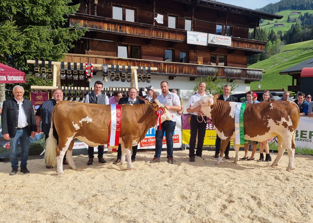 Gesamtsiegerin Fleckvieh-Kalbinnen SEHRGUT-Tochter ROASL (li.) von Franz Kostenzer und Reservesiegerin HABSBURGER-Tochter HAFE von Benedikt Bischofer