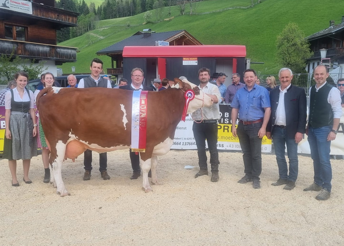 Gesamtsiegerin FV-Kreuzung Altkühe: DRYLAND-Tochter GELI von Thomas Kostenzer