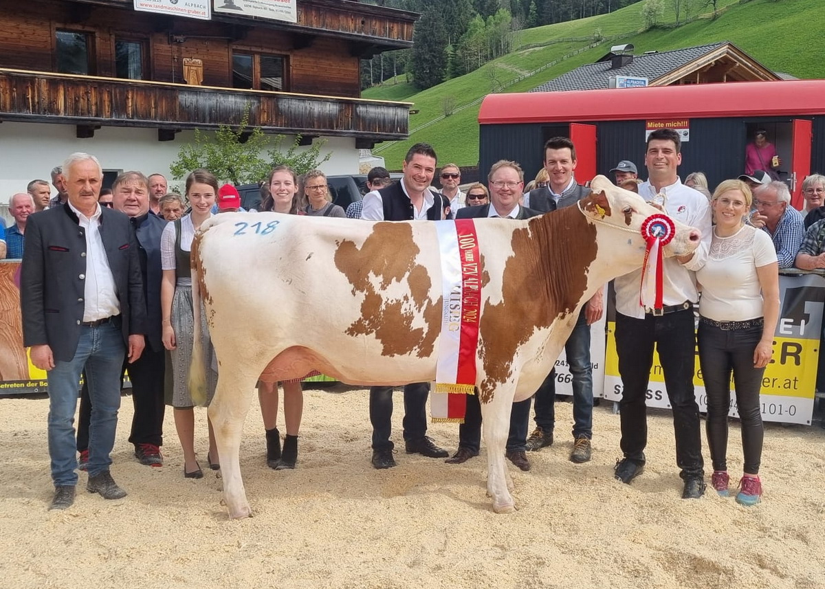 Gesamtsiegerin FV-Kreuzung Jungkühe: POWER RED-Tochter PERLE von Stephanie Larch