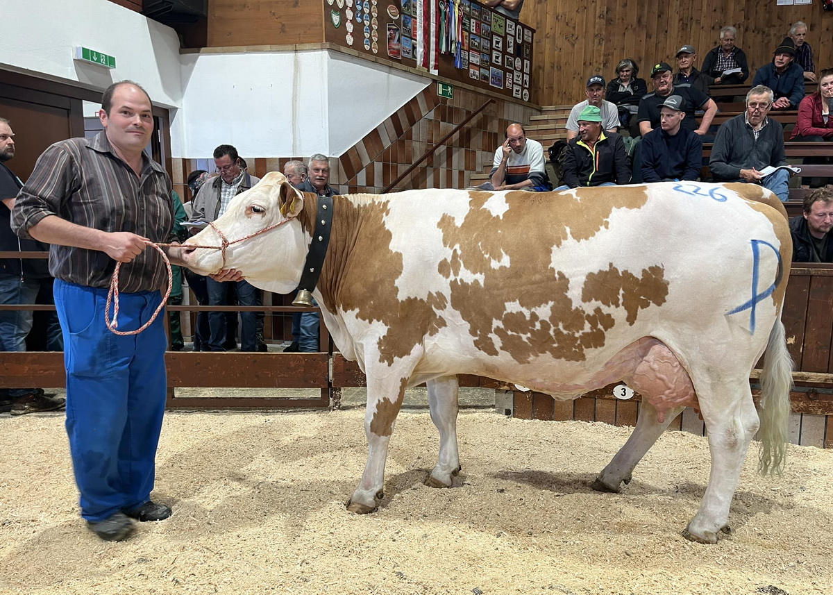 Der Tageshöchstpreis von 3.820 wurde für eine HURLY-Tochter von Martin Hechenblaickner aus Bruck am Ziller bezahlt.
