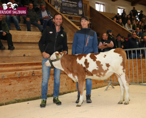 Höchstpreis für VALDINI P*S-Tochter vom Betrieb Oberauer, Unterbaumgarten aus Flachau