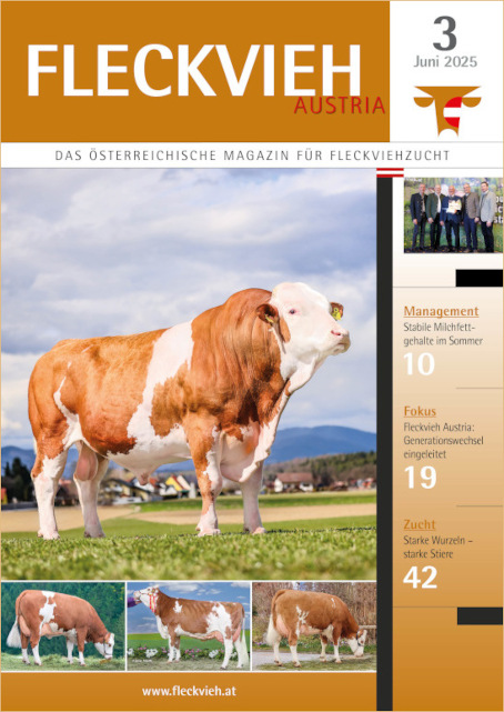 Cover 3_25 Startseite