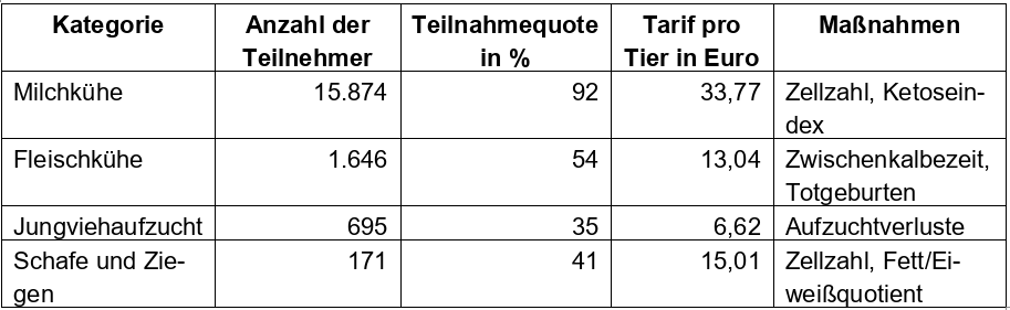 Teilnehmerzahlen, Tarife und Maßnahmen an Q plus