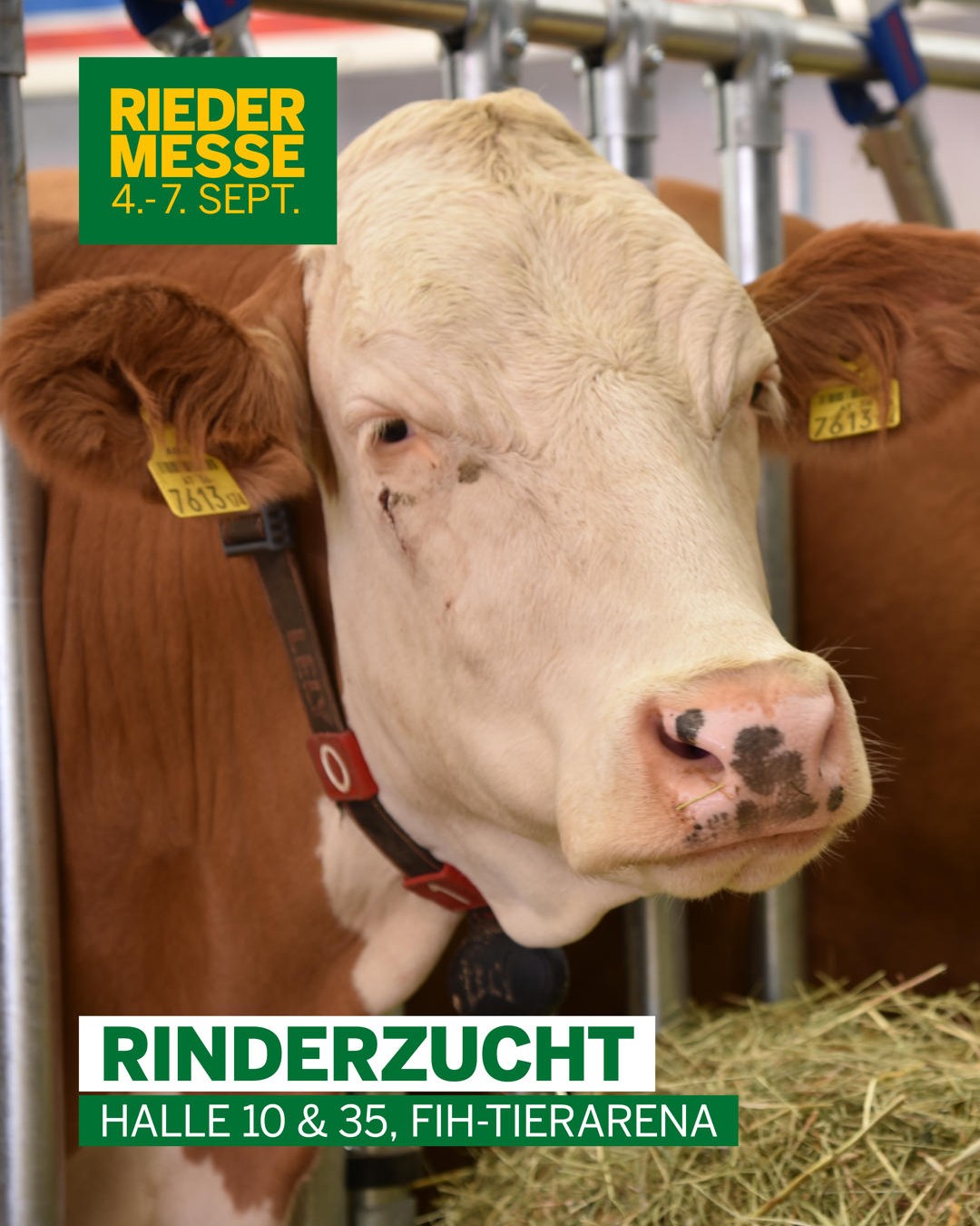 Messe Ried 2025