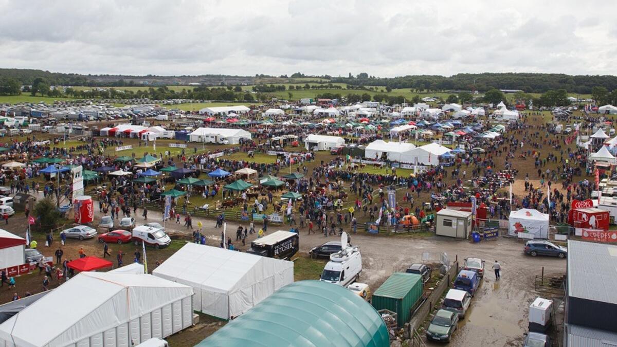 Tullamore Show – Treffpunkt der Rinderzucht-Szene in Irland