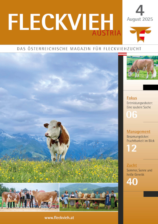 Titelseite Probeabo Ausgabe 4/25