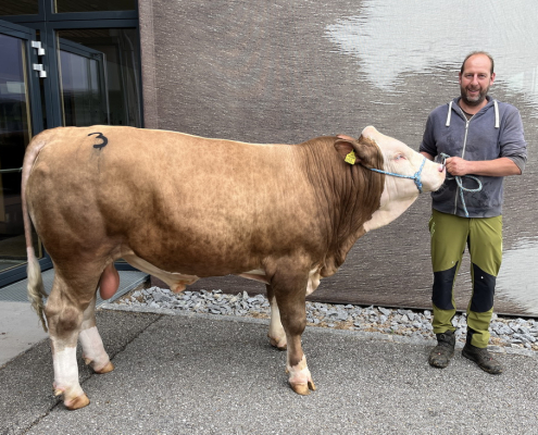 Thomas Krenn mit dem von ihm gezüchteten MANGAN-Sohn, den die OÖ. Besamungsstation für den Newcomer-Einsatz ankaufte.