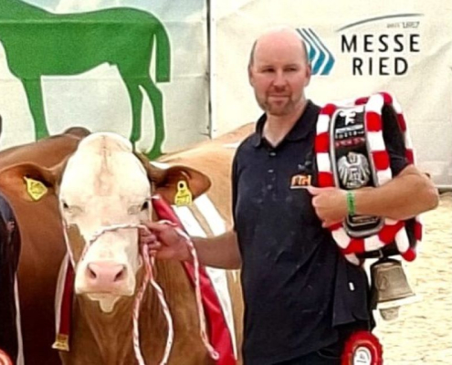 Oö Jungkuhschau Ried 2025