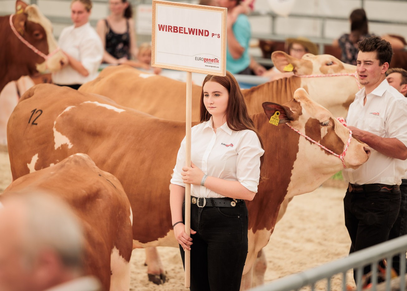 Nachzuchtgruppe Wirbelwind P*S