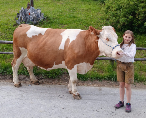 Enzian, Betrieb Dichtl in Osttirol