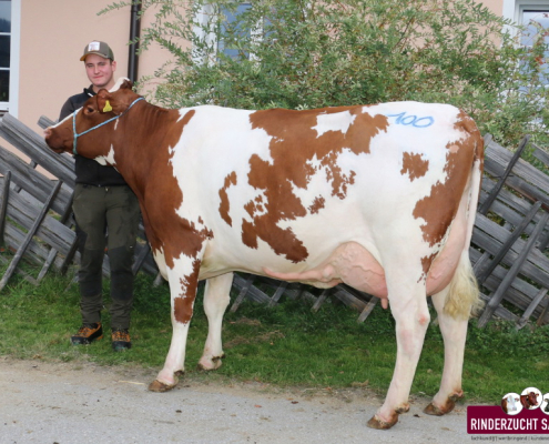 GS Der BESTE-Tochter vom Betrieb Silvia u. Paul Hettegger, Unterharbach aus Großarl