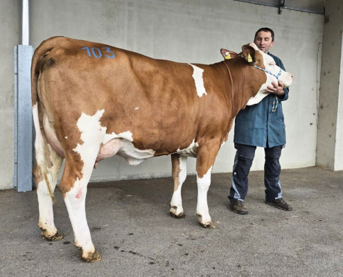 GS ENJOY-Tochter HETTY