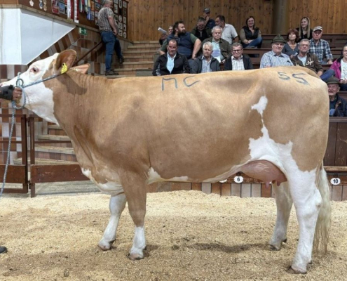 SIDO-Tochter HALMA Rotholz 08.10.2025