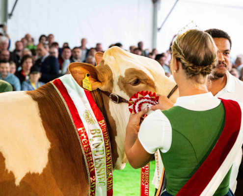 Bundesfleckviehschau 2022