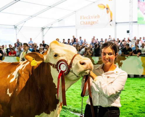 Bundefleckviehschau 2022