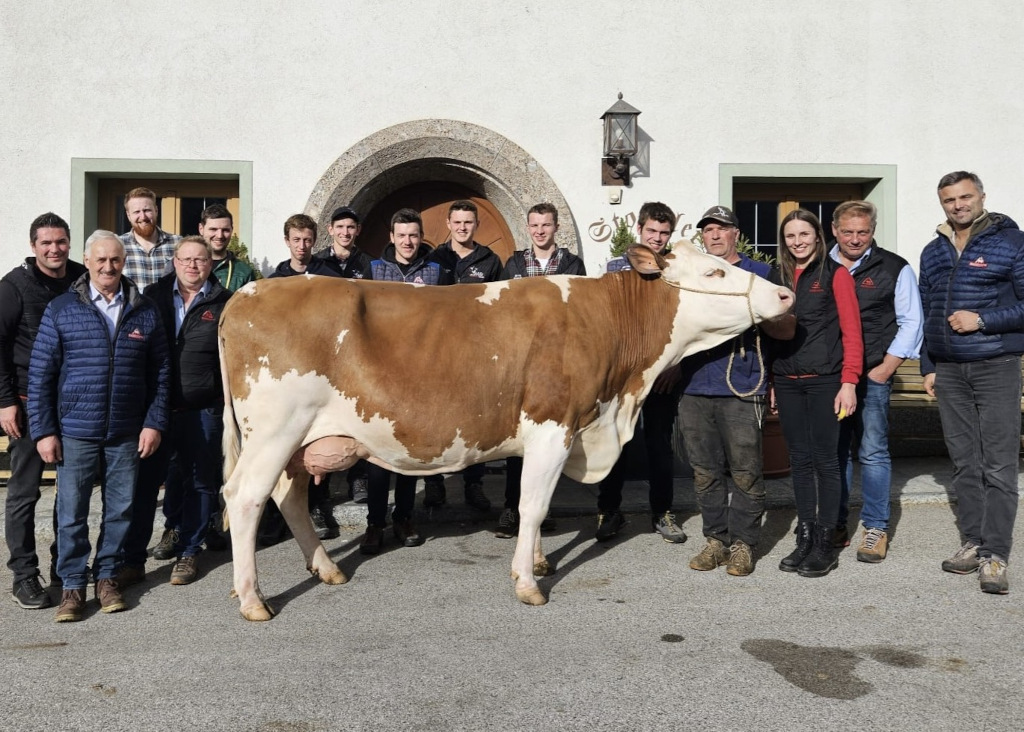 Die Preisrichterschulung für die Jungzüchter fand am bekannten Fleckviehzuchtbetrieb Gramshammer in Vomp statt Die Preisrichterschulung für die Jungzüchter fand am bekannten Fleckviehzuchtbetrieb Gramshammer in Vomp statt