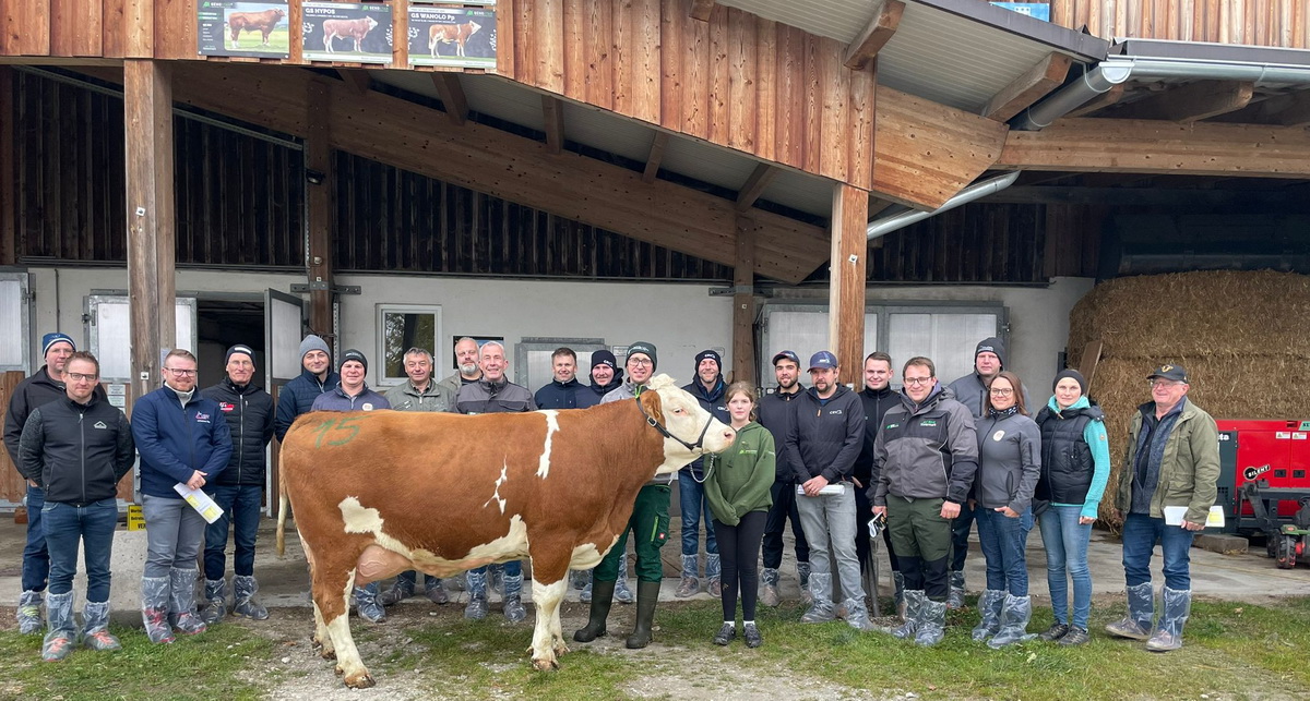 Die Großmutter von MC BAUER Pp*, KITTY, steht am Betrieb Bauer in Ratten. Die Großmutter von MC BAUER Pp*, KITTY, steht am Betrieb Bauer in Ratten.