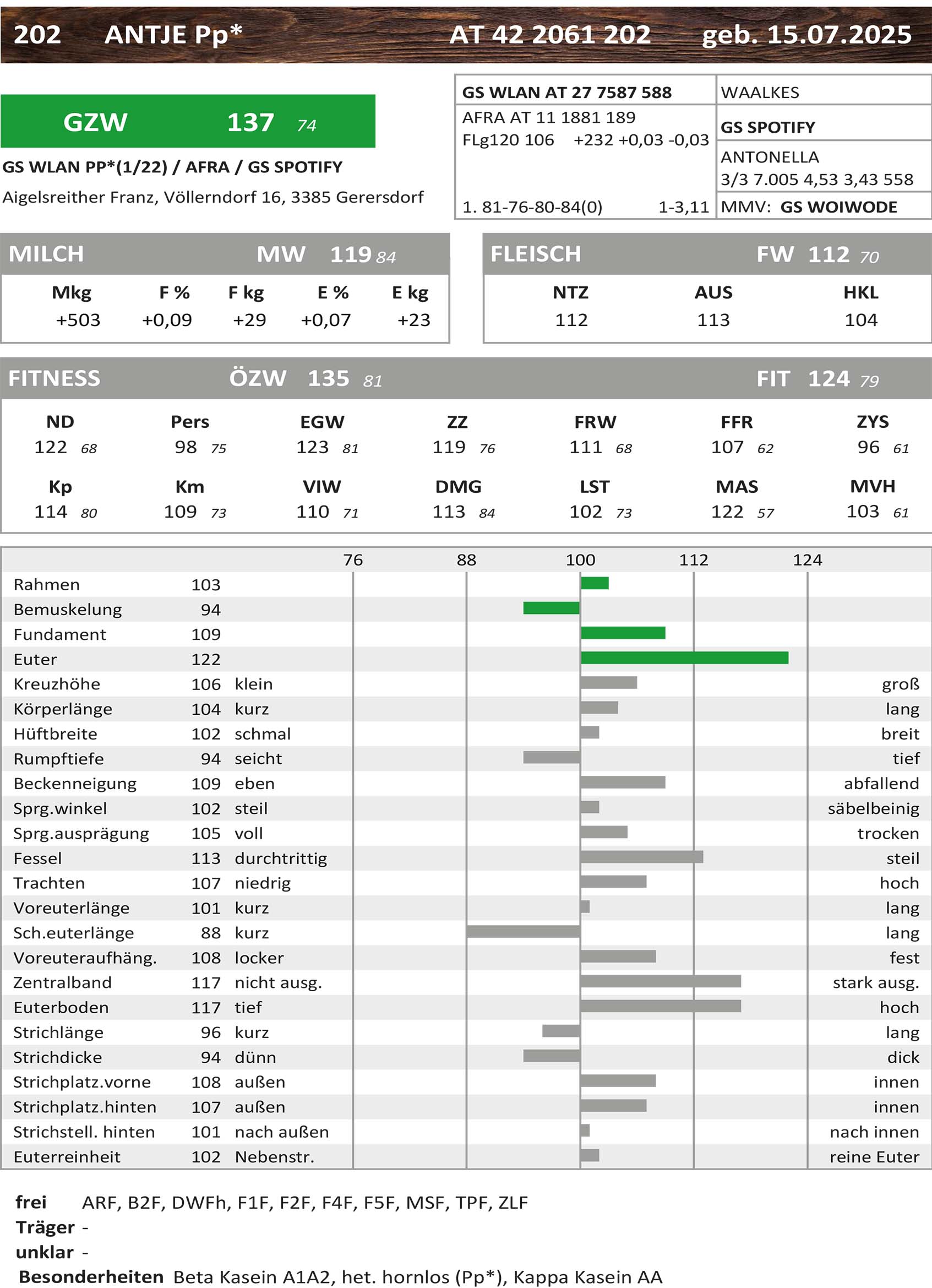 NÖ Landesrinderschau ANTJE Pp*