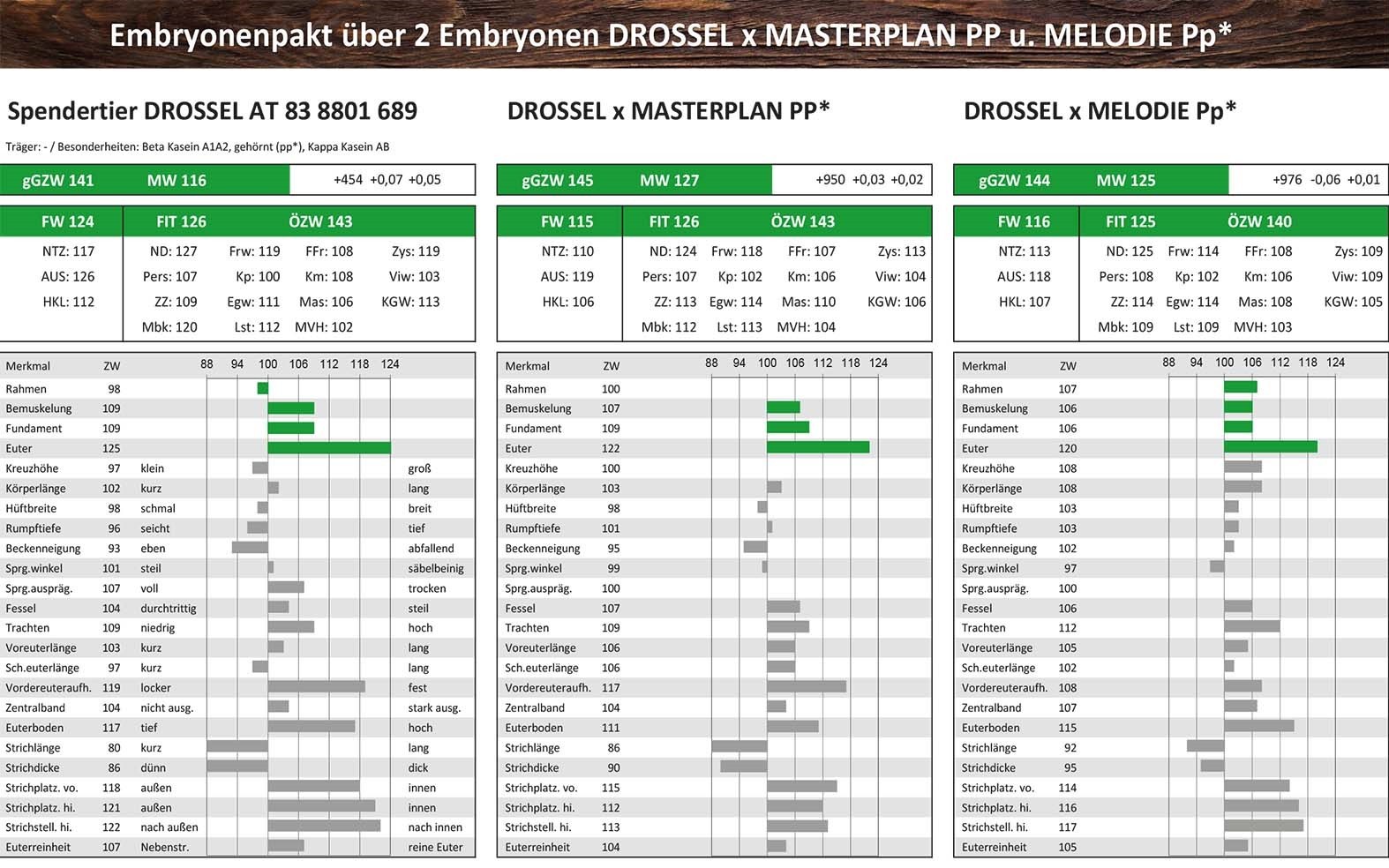 NÖ Landesrinderschau Embryonenpaket 1