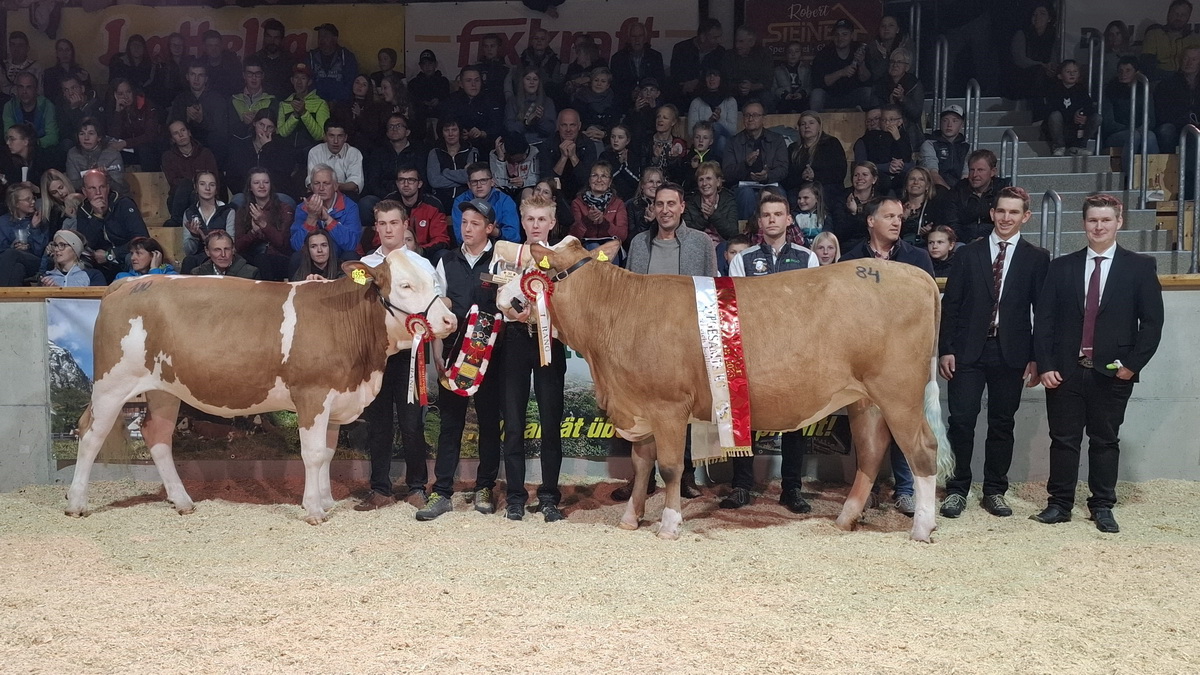 BEAUTY (V: Superboy) von Marco Steiner errang den Gesamttypsieg bei den Fleckvieh-Kalbinnen vor GITTI (V: Mahindra P*S) von Andreas Feldner BEAUTY (V: Superboy) von Marco Steiner errang den Gesamttypsieg bei den Fleckvieh-Kalbinnen vor GITTI (V: Mahindra P*S) von Andreas Feldner