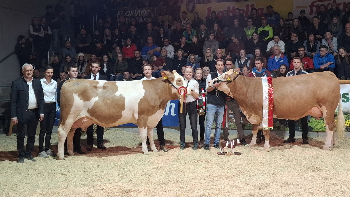 Georg Steidl stellte mit WILMA (V: Wintertraum) die Gesamttypsiegerin bei den Kühen vor SINDY (V: Mabuso) von Anika Unterrainer aus dem Züchterstall Außer-Groder