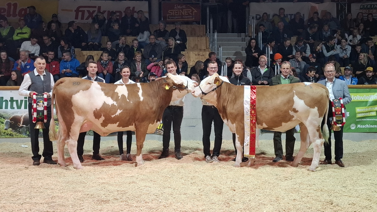 Den Gesamtsieg holte sich Stefan Oberguggenberger mit SISSI (V: Weissenbach) vor Georg Dichtl mit PRISKA (V: Hephaistos)