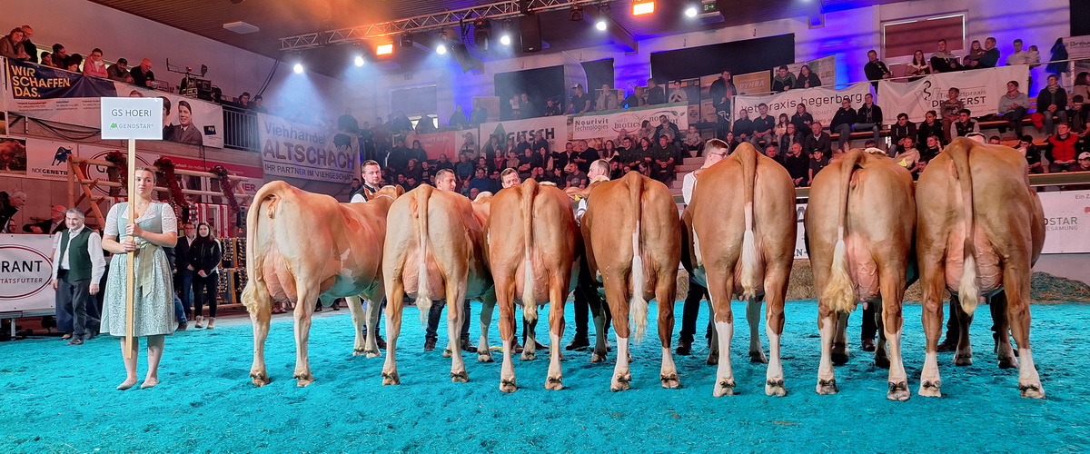 HOERI-Töchter NÖ Schau 2025