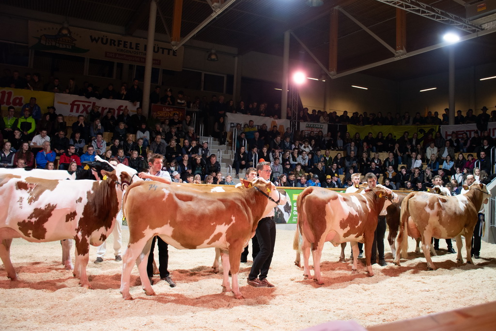 Volle Halle beim Vorführfinale in der RGO-Arena in Lienz © Melanie Pirker
