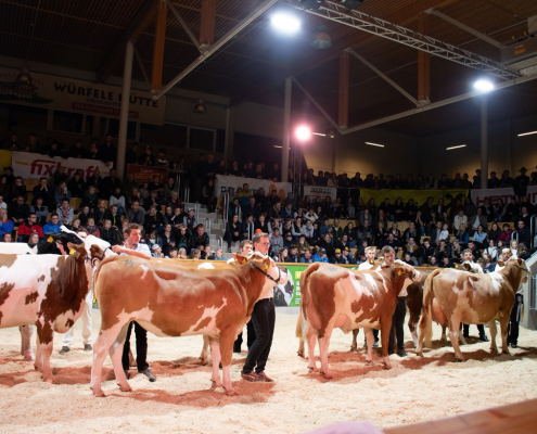 Volle Halle beim Vorführfinale in der RGO-Arena in Lienz © Melanie Pirker